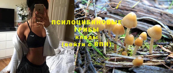 молекула духа Армянск