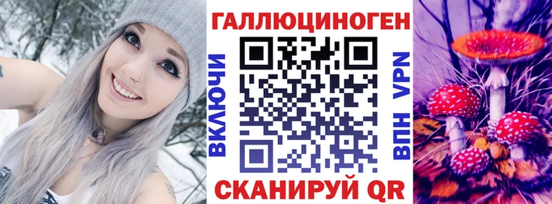 Галлюциногенные грибы Psilocybe  мега маркетплейс  Шенкурск 